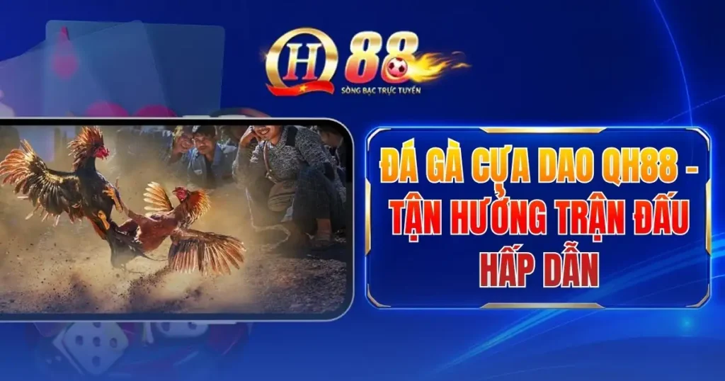Đá Gà Cựa Dao QH88 - Tận Hưởng Trận Đấu Hấp Dẫn