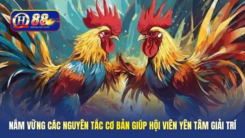 Nắm vững các nguyên tắc cơ bản giúp hội viên yên tâm giải trí