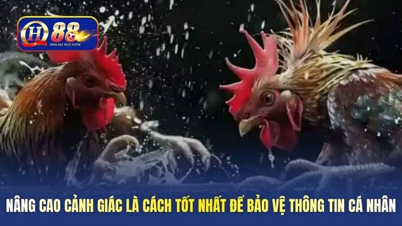 Nâng cao cảnh giác là cách tốt nhất để bảo vệ thông tin cá nhân